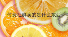 付费社群卖的是什么东西 unity社群是什么东西