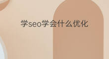 学seo学会什么优化 学seo学会什么引流