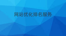 网站优化排名服务 优化网站排名服务