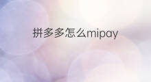 拼多多怎么mipay 拼多多怎么拼啊