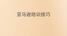 亚马逊培训技巧 shopee培训技巧
