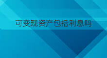 可变现资产包括利息吗 可变现价值包括哪些资产