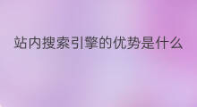 站内搜索引擎的优势是什么 站内搜索引擎优化