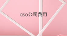 aso公司费用 aso费用