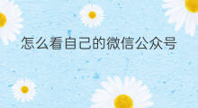 怎么看自己的微信公众号 电脑微信怎么看公众号