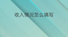 收入情况怎么填写 教材收录情况怎么填写 收入情况怎么填写 教材收录情况怎么填写