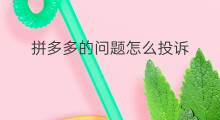 拼多多的问题怎么投诉 拼多多怎么投诉物流
