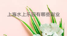 上海水上乐园有哪些副业 海水上涨原因有哪些副业