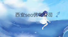 西安seo优化公司 seo优化西安
