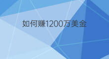 如何赚1200万美金 商家如何赚1200万