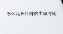 怎么延长社群的生命周期 怎么延长社群生命周期