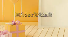 滨海seo优化运营 滨海seo优化咨询