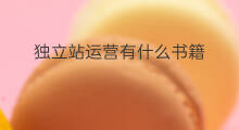 独立站运营有什么书籍 独立站运营有什么好