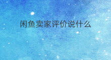 闲鱼卖家评价说什么 闲鱼卖家评价写的什么