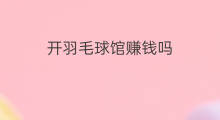开羽毛球馆赚钱吗 线下店买羽毛球会给球袋吗