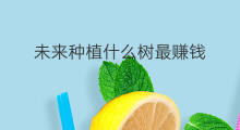 未来种植什么树最赚钱 种植什么作物最赚钱