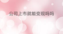 公司上市就能变现吗吗 公司社保能变现吗