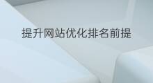 提升网站优化排名前提 网站排名提升软件优化
