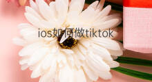 ios如何做tiktok tiktok如何做独立站