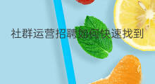 社群运营招聘如何快速找到 chatgpt运营招聘