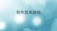 有外贸系统吗 外贸有证吗