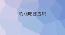 龟能吃虾皮吗 巴西龟能吃虾皮吗
