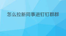 怎么拉新同事进钉钉群群 怎么拉新同事进入钉钉