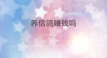 养信鸽赚钱吗 信鸽怎么赚钱