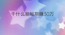 干什么能短期赚30万 大庆干什么一年能赚30万