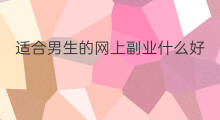 适合男生的网上副业什么好 适合男孩的网上副业是什么
