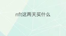 nft这两天买什么 chatgpt币两天暴涨18倍