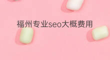 福州专业seo大概费用 福州专业seo搜索优化