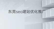 东莞seo建站优化推广 东莞seo建站怎样优化