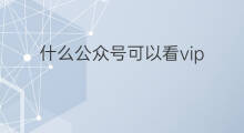 什么公众号可以看vip 可以看vip的微信公众号