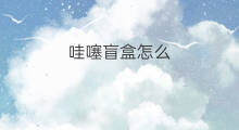 哇噻盲盒怎么 哇噻秀如何引流