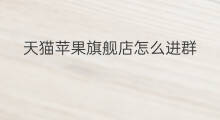 天猫苹果旗舰店怎么进群 天猫商城旗舰店怎么开
