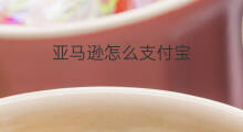 亚马逊怎么支付宝 支付宝如何支付亚马逊