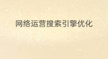 网络运营搜索引擎优化 网络搜索引擎优化