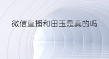 微信直播和田玉是真的吗 微信和田玉直播怎么没了