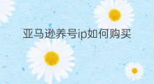 亚马逊养号ip如何购买 医生ip怎么养号