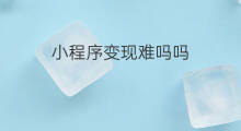 小程序变现难吗吗 小程序变现难吗