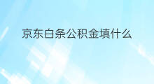 京东白条公积金填什么 京东除了白条还有什么