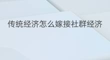 传统经济怎么嫁接社群经济 社群经济原因