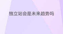 独立站会是未来趋势吗 跨境独立站趋势如何