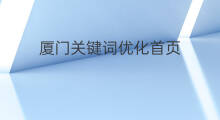 厦门关键词优化首页 厦门关键词优化