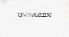 如何训练独立站 婴儿如何训练独立站