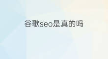 谷歌seo是真的吗 谷歌seo挣钱吗