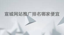 宣城网站推广排名哪家便宜 宣城网站推广排名哪家靠谱