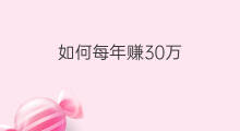 如何每年赚30万 如何每年赚30万元钱
