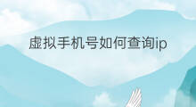 虚拟手机号如何查询ip 如何查虚拟手机号ip